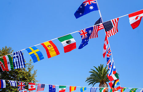International studies and languages flags