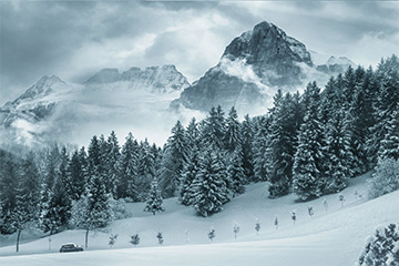 What is Our Place in Nature