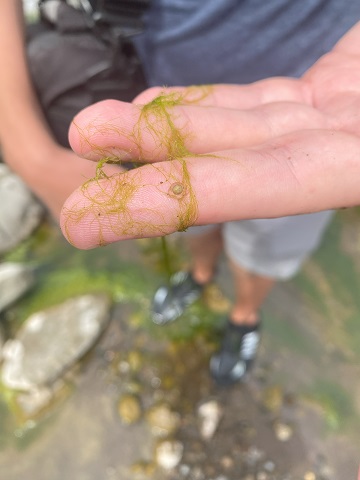 green slime on finger