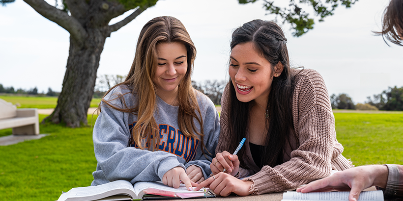 Alumni Park Studying