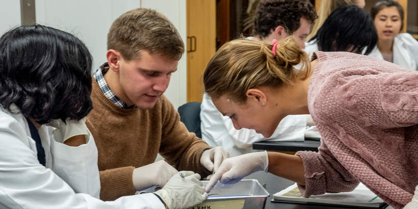 Students in a lab