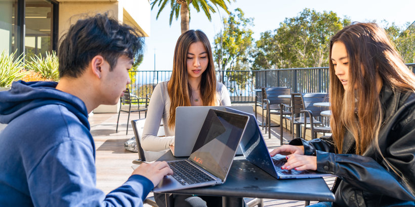 Bachelor of Arts in Sociology Graduates working on their laptops 