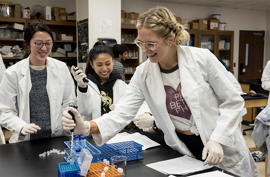 Bachelor of Arts in Biology Studies students working in a lab