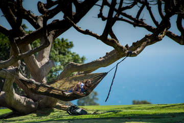 Student in a hammock in Alumni Park