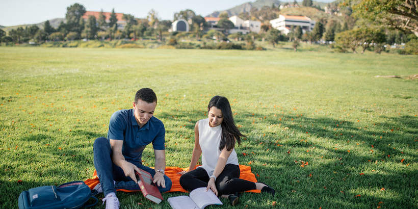 Students studying in Alumni Park