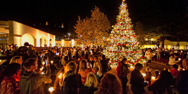 Christmas tree lighting ceremony