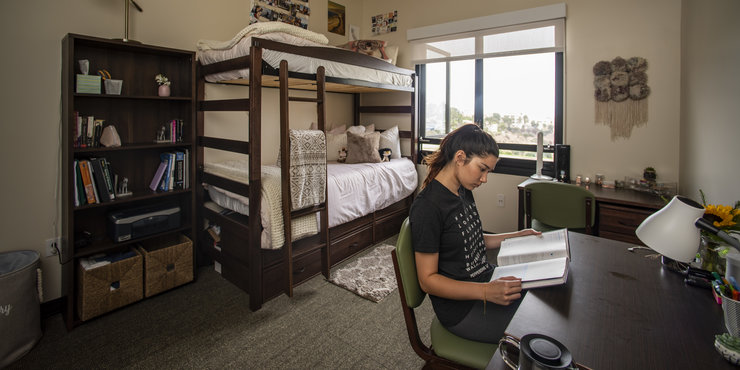 Female student pictured in her dorm room studying at her desk