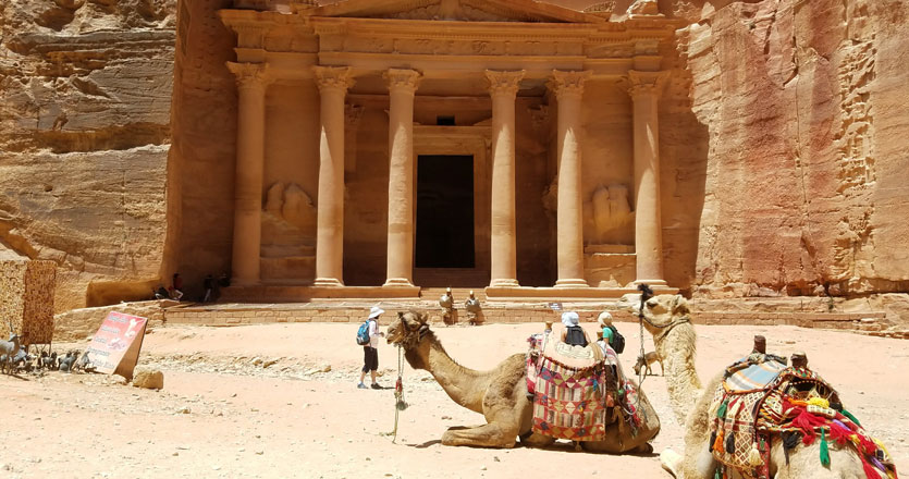 Camels resting in Jordan