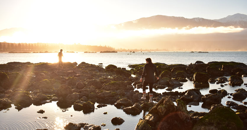 Students exploring the beaches in New Zealand