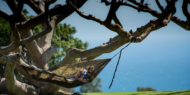 Student lying in a hammock on Alumni Park