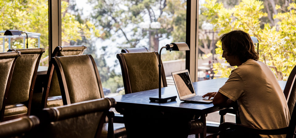 Student in Payson Library studying at a desk