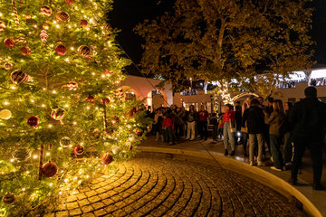 Christmas Tree Lighting Ceremony