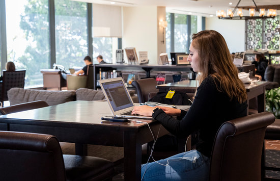 Undergraduate Students