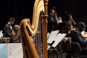 Close up on a harp