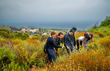 natural science students