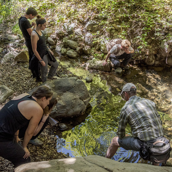 Students searching a creek