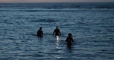 Surfers in the waves at night