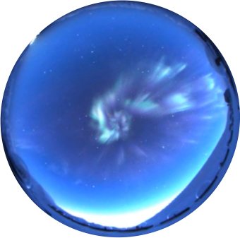 Auroral Seashell