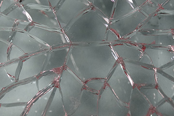 Photo of broken glass that Holden provided for the FBI