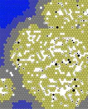 SARS-CoV-2 Tissue Computational Model