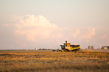 A still shot from "No Days Off"