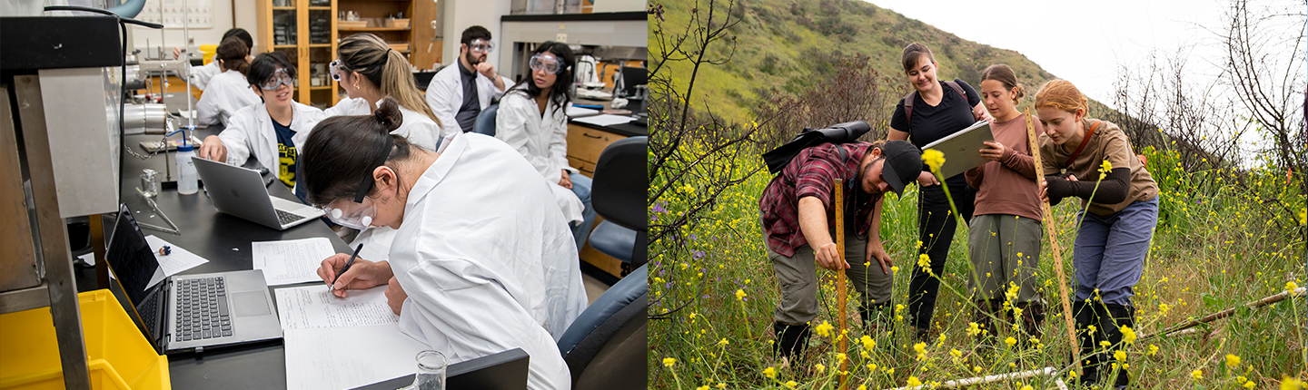SURB students conduct research in Seaver laboratories as well as on location