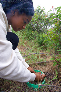 Student researcher observing soil collar.