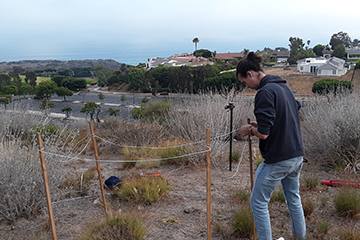 Lucian Himes setting up a camera trap near Malibu homes