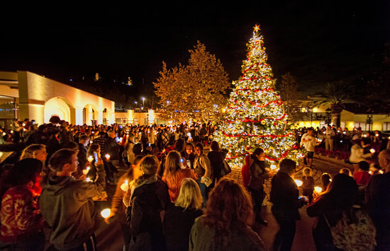 Students participating in the Christmas Tree Lighting ceremony