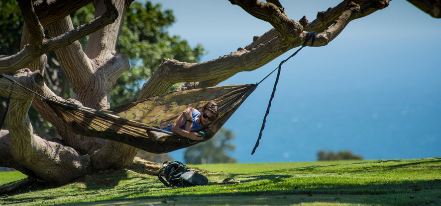 Student in hammock in Alumni Park